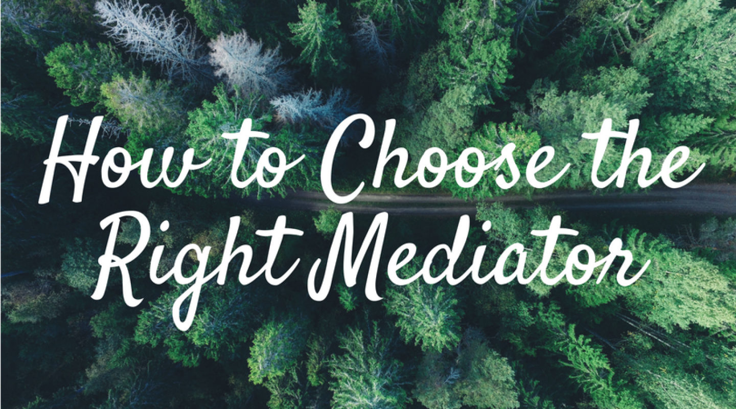 Choosing the Right Mediator